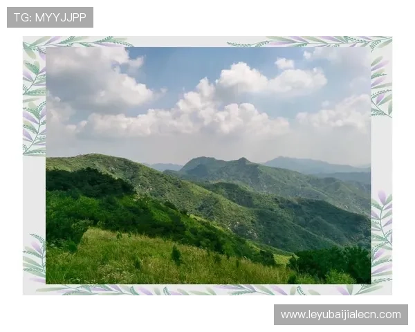 云顶山寨在哪里，详细说明云顶山寨的坐标位置及交通便利性分析